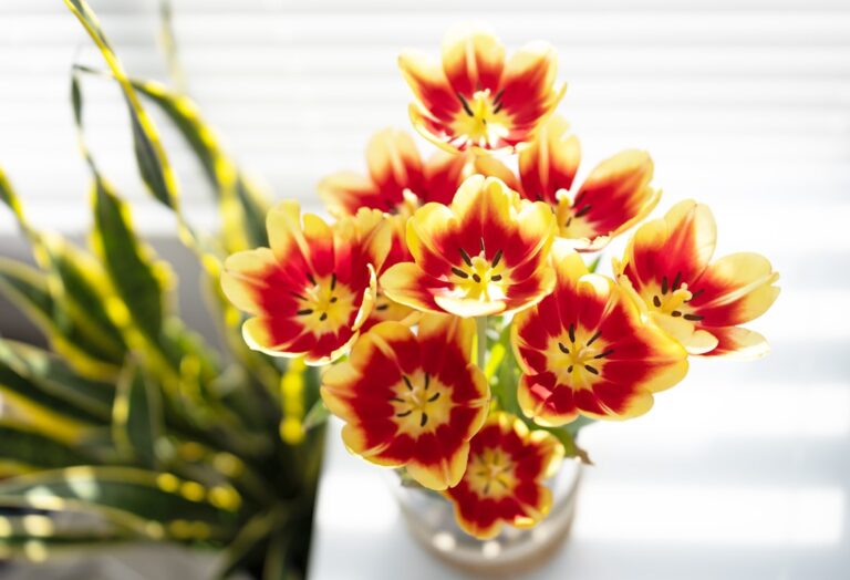 Making a Statement: Bold Decor Choices for Your Home